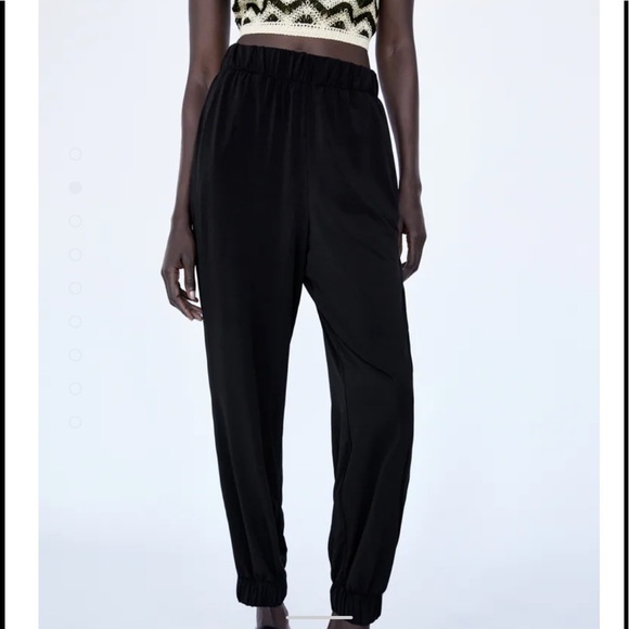 Zara Pants - Zara High waisted joggers with elastic waistband. Hidden in-seam side pockets
